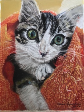 b & w -cat -wrapped -in -orange blanket 9x12 - Original $250